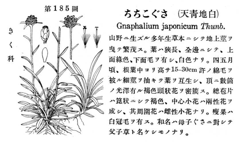 植物図鑑