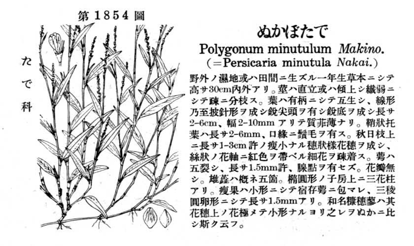 植物図鑑