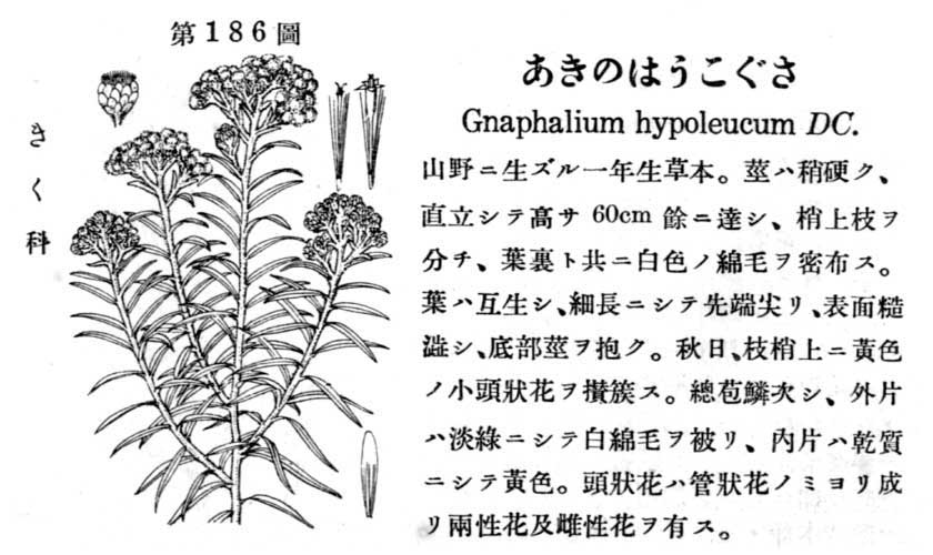 植物図鑑