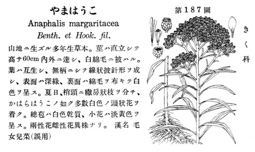 植物図鑑
