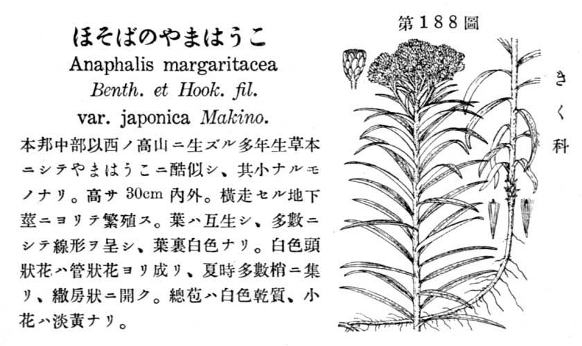 植物図鑑