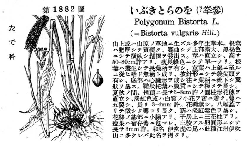 植物図鑑