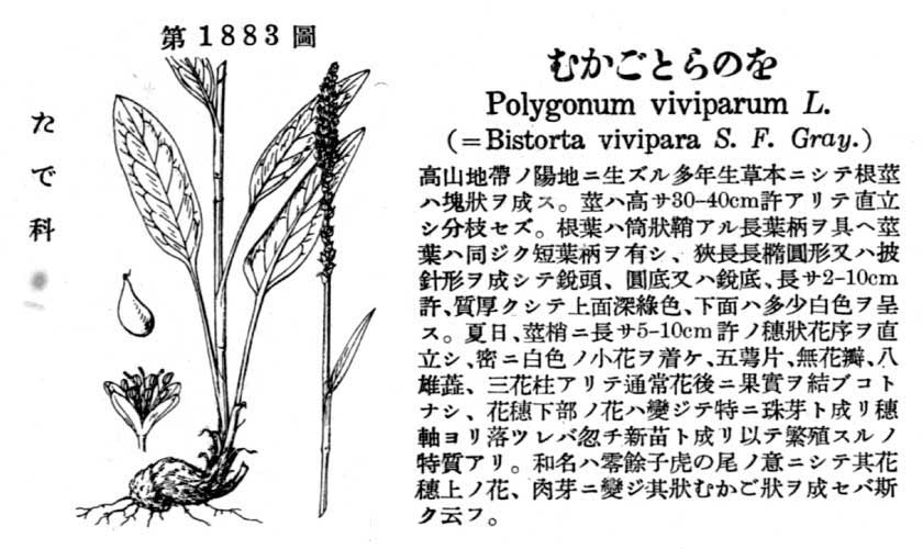 植物図鑑