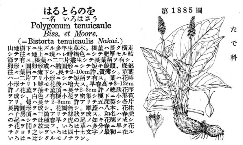 植物図鑑