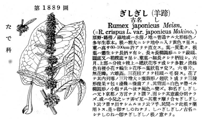 植物図鑑