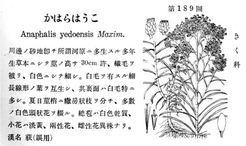植物図鑑