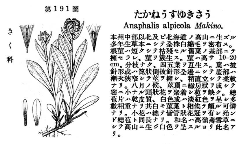 植物図鑑