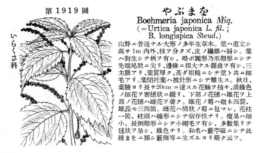 植物図鑑