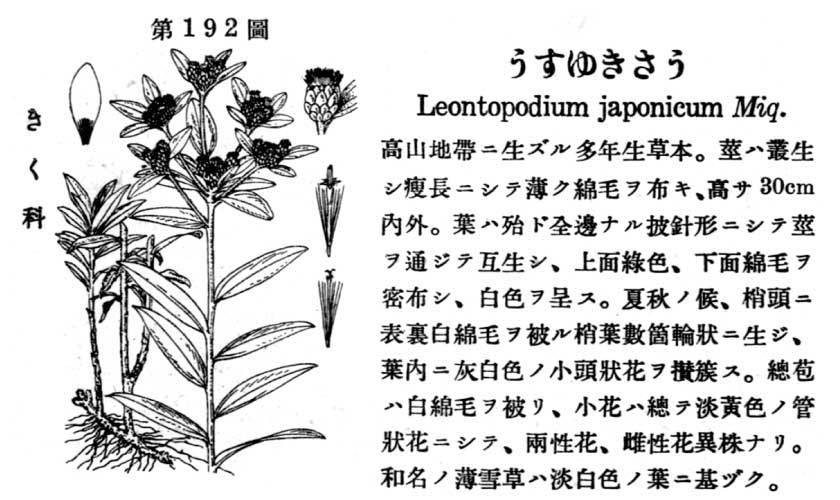 植物図鑑