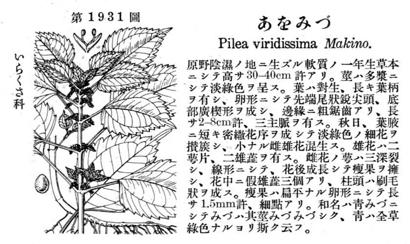 植物図鑑