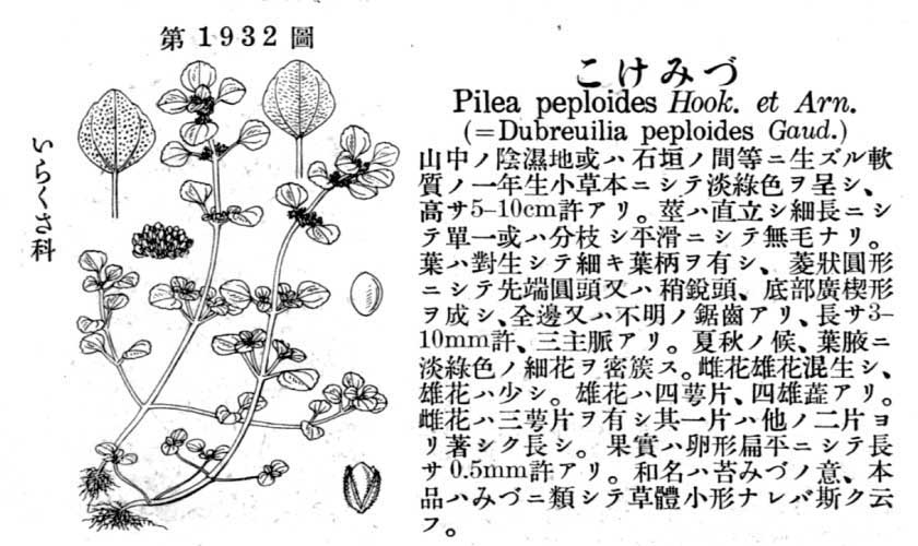 植物図鑑