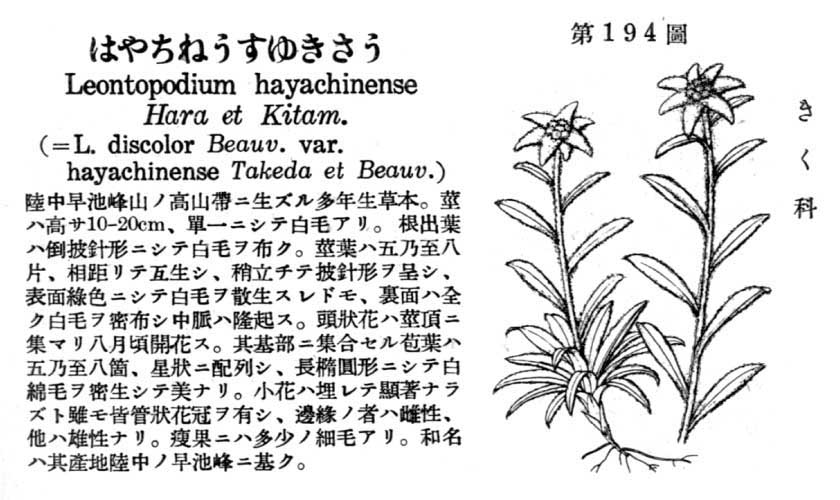植物図鑑