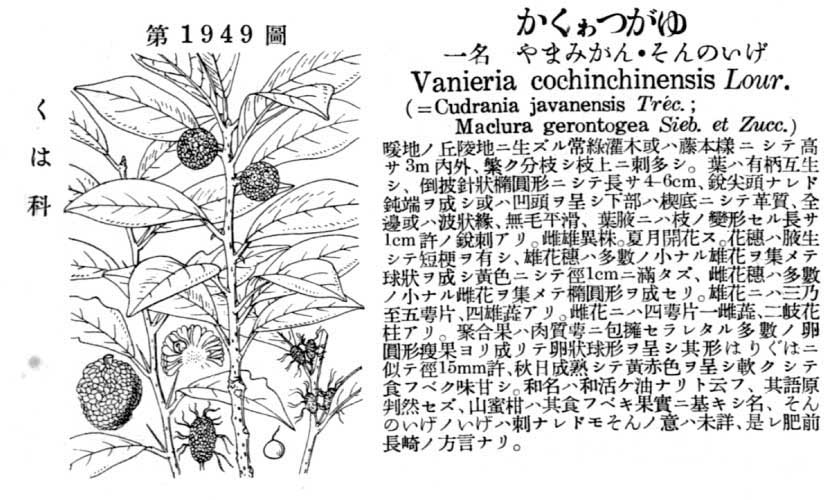 植物図鑑