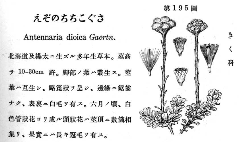 植物図鑑