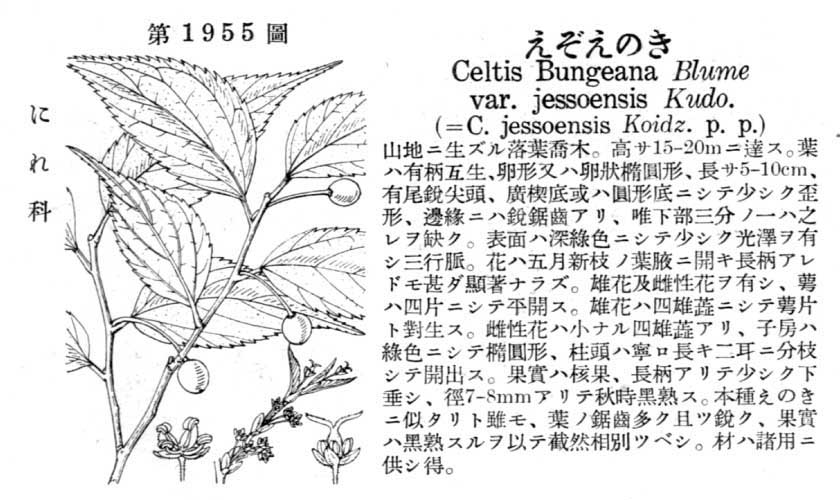 植物図鑑