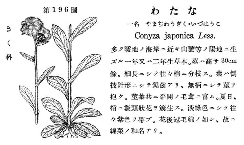 植物図鑑