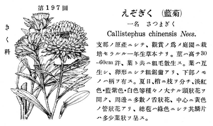 植物図鑑