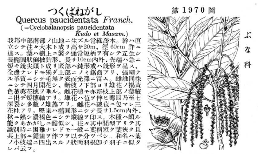 植物図鑑