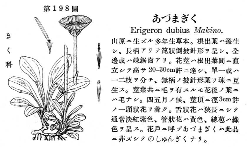 植物図鑑