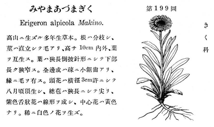 植物図鑑