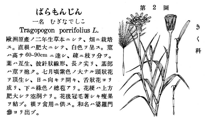 植物図鑑