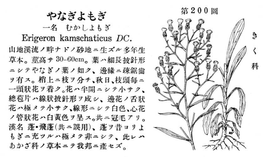 植物図鑑