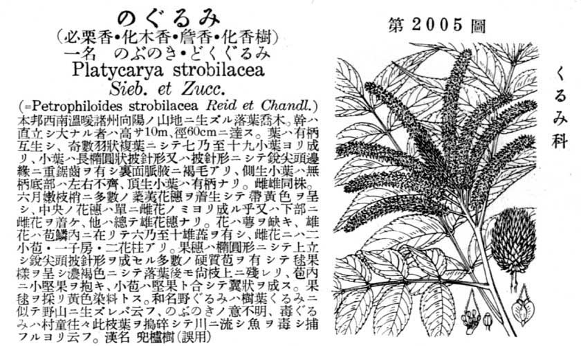 植物図鑑