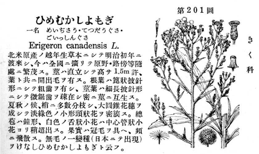 植物図鑑