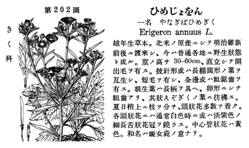 植物図鑑