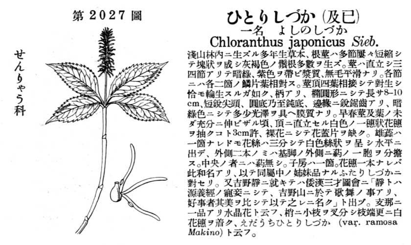 植物図鑑