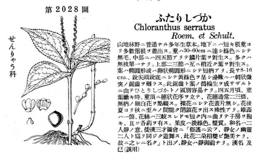 植物図鑑