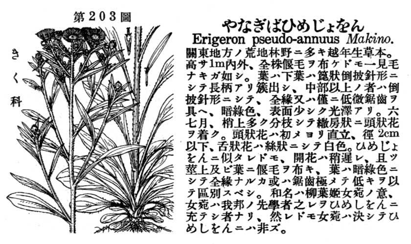 植物図鑑