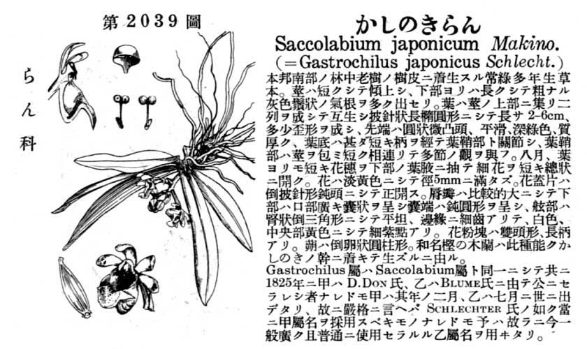 植物図鑑