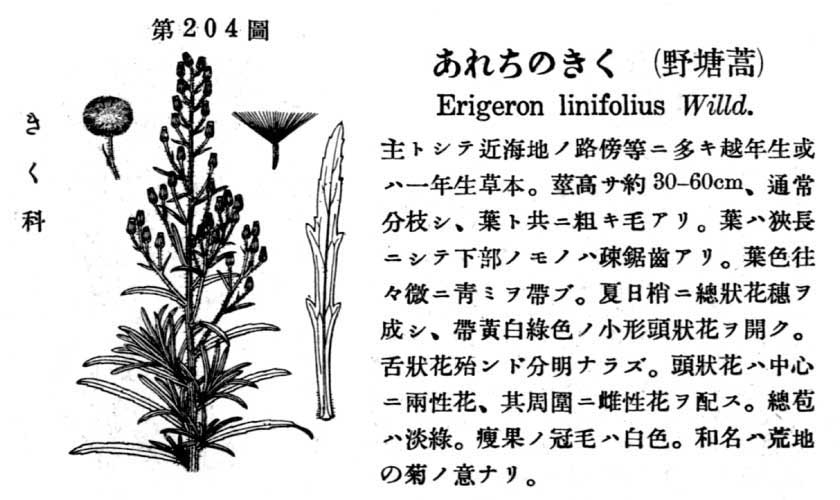 植物図鑑