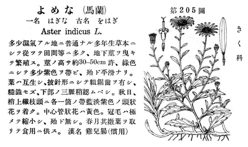 植物図鑑