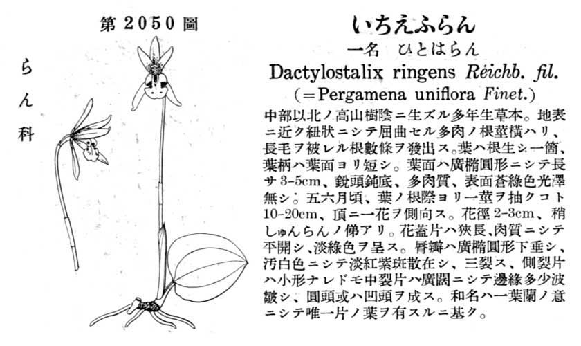 植物図鑑