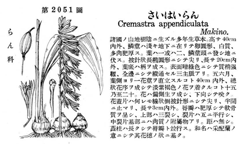 植物図鑑