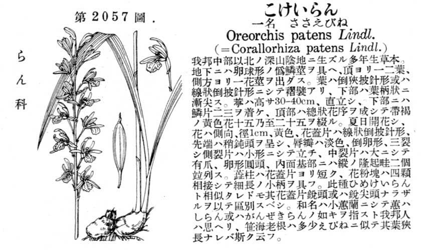 植物図鑑