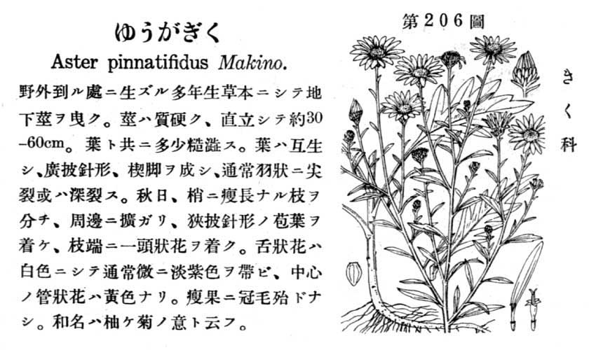 植物図鑑