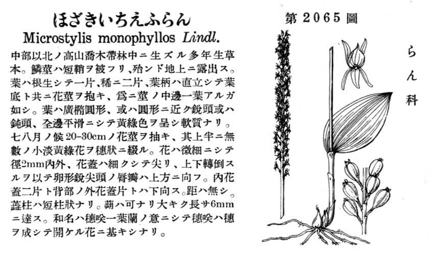 植物図鑑