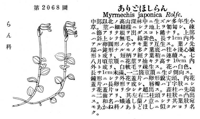 植物図鑑