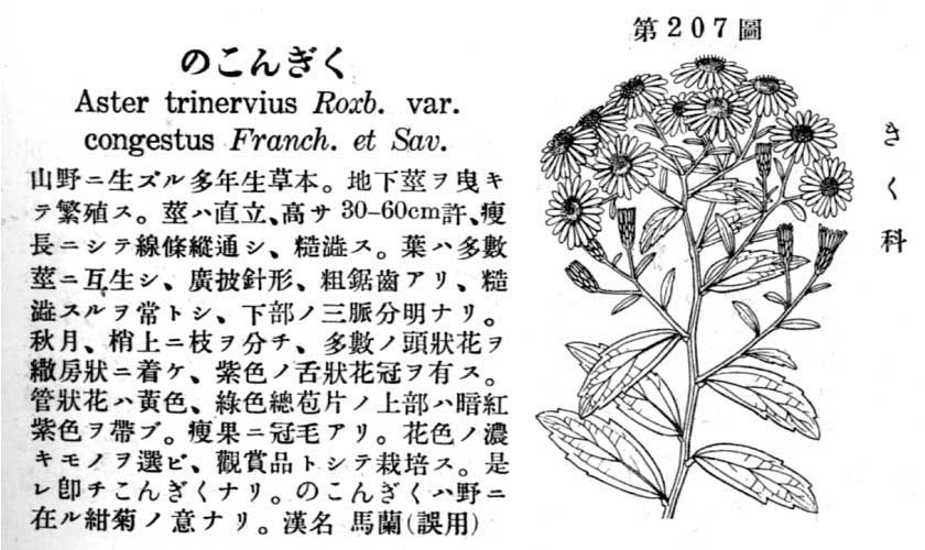 植物図鑑
