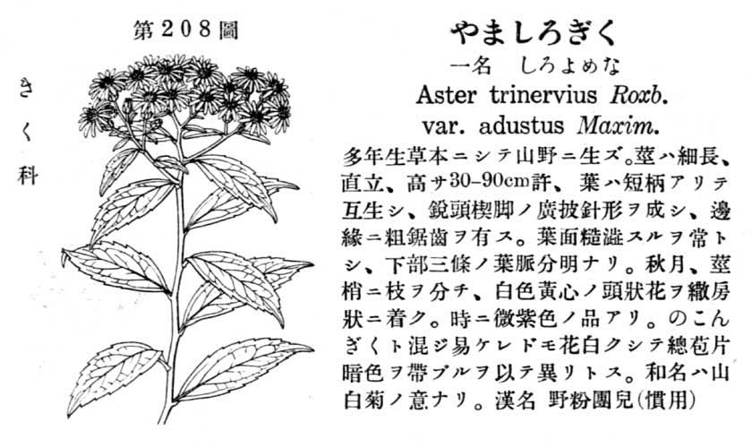 植物図鑑