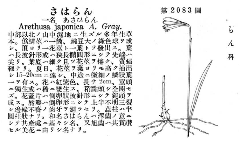 植物図鑑