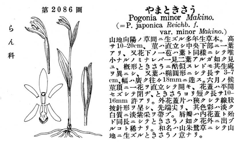 植物図鑑