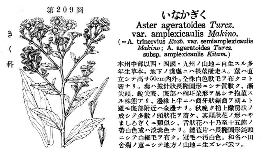植物図鑑