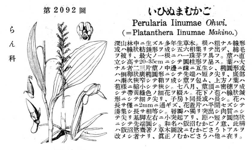 植物図鑑