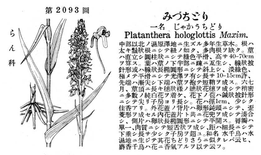 植物図鑑