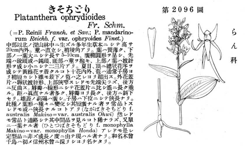 植物図鑑