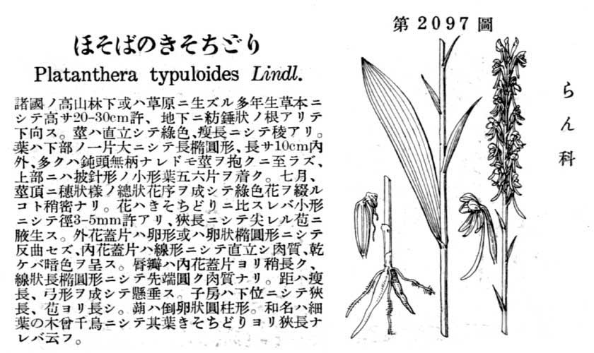 植物図鑑